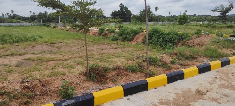 IMG 20240825 111926822 scaled 1